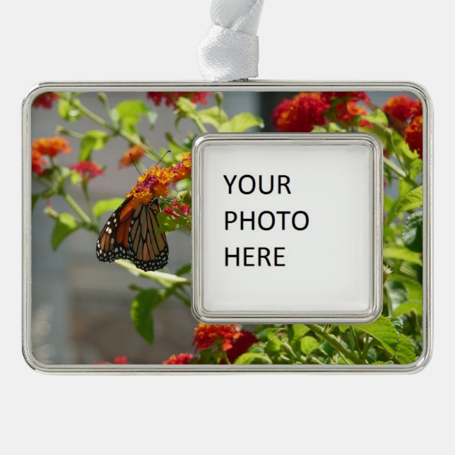 Adorno Mariposa monarca en mariposa roja Bush (Anverso)