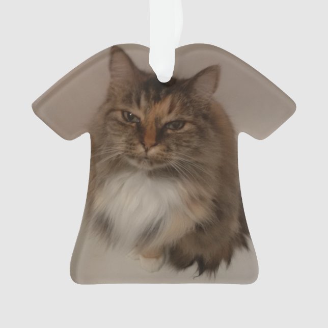 Adorno Mascota (Anverso)