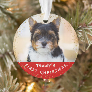 Adorno Mascota fotográfico personalizado Perro cachorro 