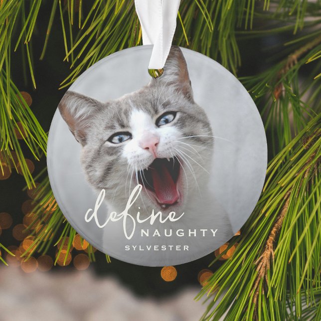 Adorno Mascota gracioso define Navidades traviesos (Subido por el creador)