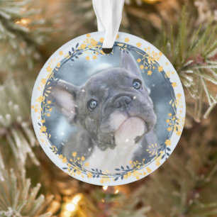 Adorno Mascota Keepsake Foto + año conmemorativo de Hanuk