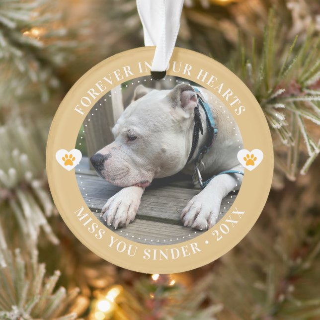 Adorno Mascota Loss Memorial Keepsake Photo Modern (Árbol)