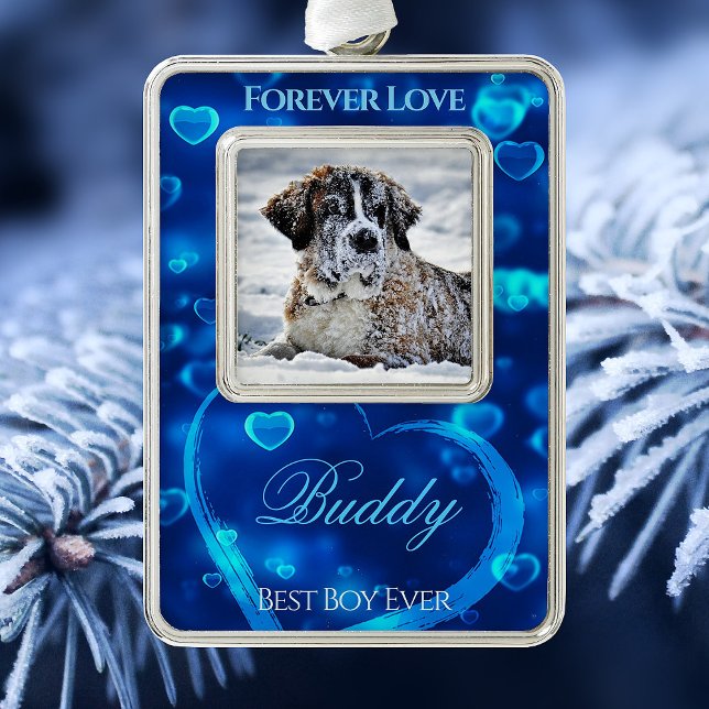 Adorno Mascota Love Photo Keepsake, corazones azules bril (Subido por el creador)