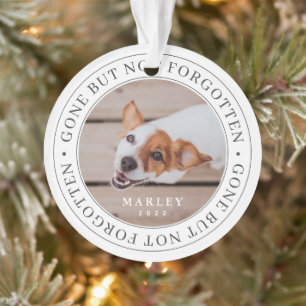 Adorno Mascota memorial se fue pero no olvidó la foto mod