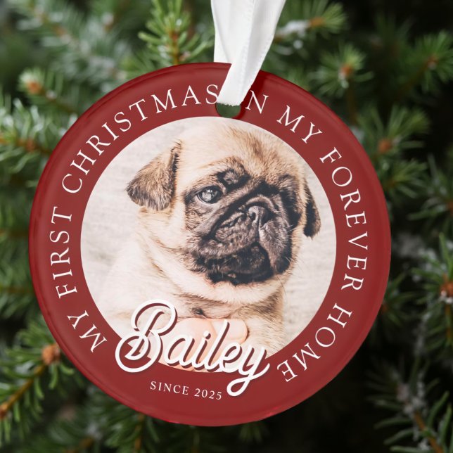 Adorno Mascota Mi Primera Navidad En Forever Home Modern (Subido por el creador)