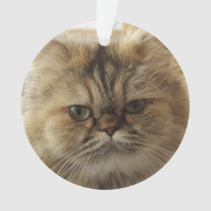 ADORNO MASCOTA PERSONALIZADO FOTO CAT ORNAMENT