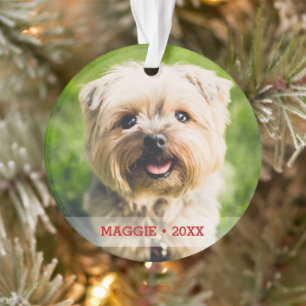 Adorno Mascota personalizado Foto Perro Cute Árbol de Nav