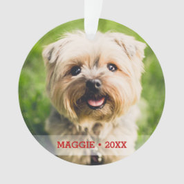 Adorno Mascota personalizado Foto Perro Cute Árbol de Nav