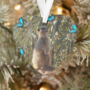 Adorno Meerkat Y Mariposas,