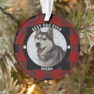 Adorno MEJOR PERRO DEL MUNDO Cuadros Rojos Personalizado
