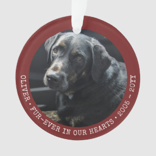 Adorno Memoria mascota Foto de perro gato Personalizada p