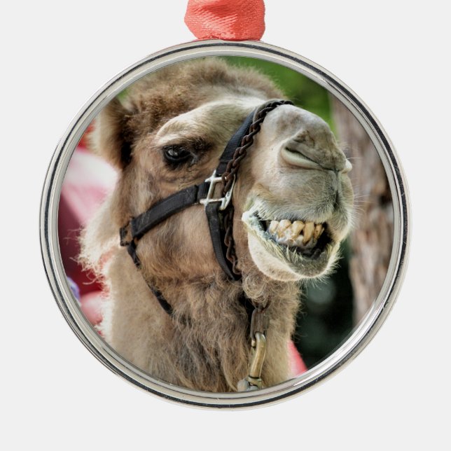 ADORNO METÁLICO  (Frente)