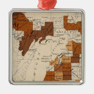 Adorno Metálico 110 fiebre tifoidea Michigan