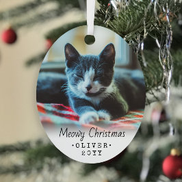 Adorno Metálico 2 Foto Cualquier Navidad De Texto Meowy Gato Guión
