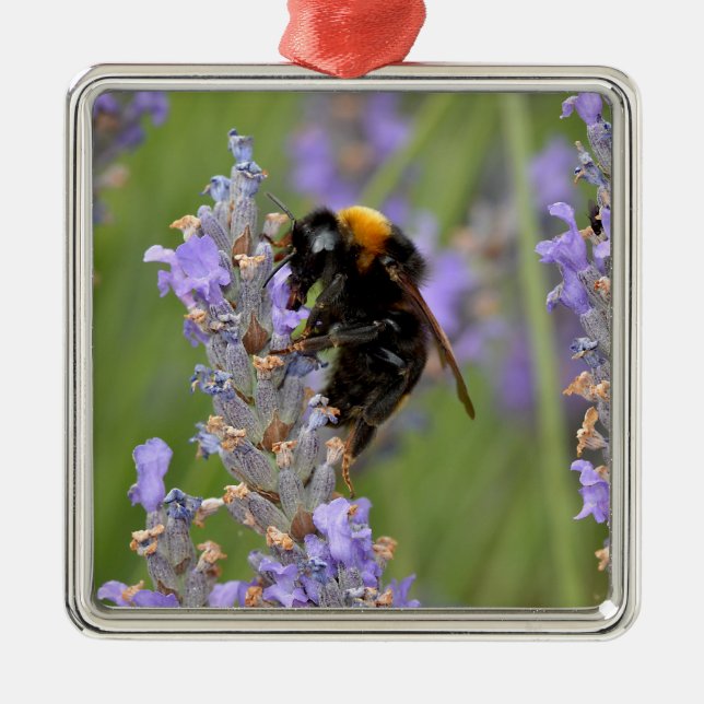 Adorno Metálico Abeja de buey alimentada con flores de lavanda (Frente)
