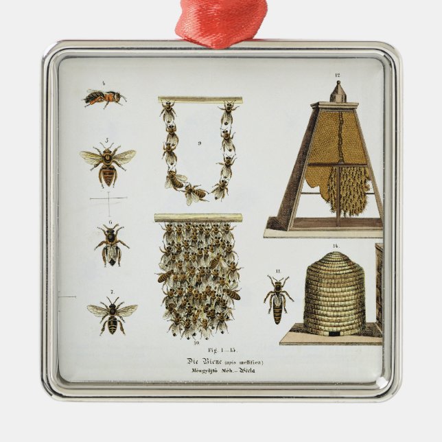 Adorno Metálico Abejas y apicultura, "de la persona de tierra (Frente)