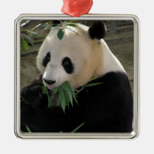 Adorno Metálico Abrazos de oso de panda