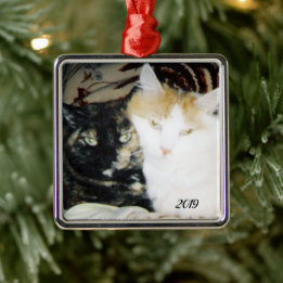 Adorno Metálico Acogedora foto de gatos con el año desde la mejill