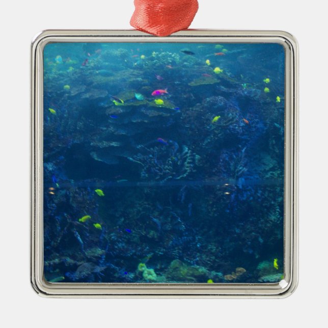 Adorno Metálico Acuario de Georgia (Frente)