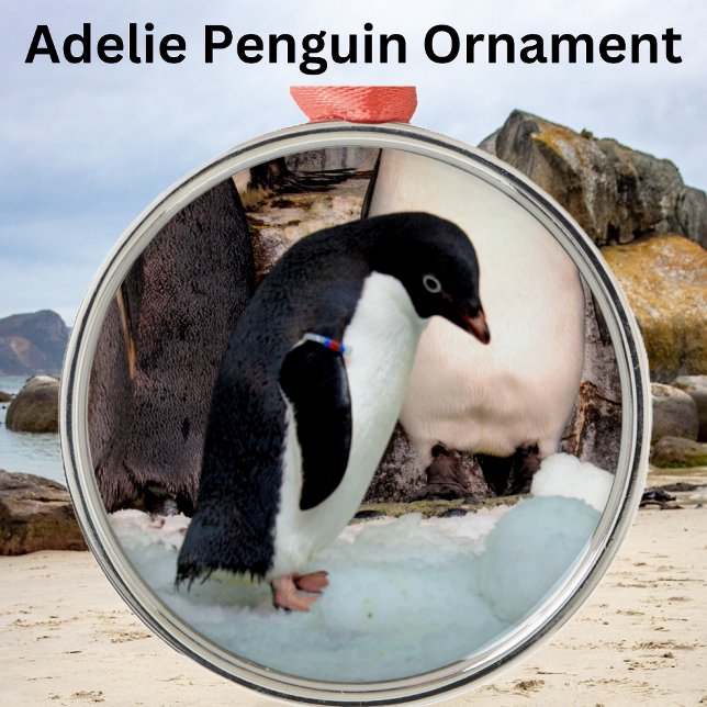Adorno Metálico Adelie Penguin Preimium Ornament (Subido por el creador)