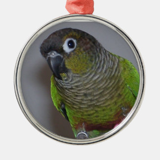 Adorno Metálico Adorable engaño de Greencheek