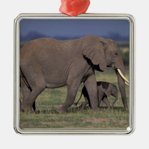 Adorno Metálico África, Kenia, Parque Nacional de Amboseli. Africa