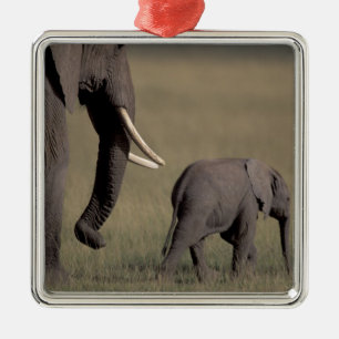 Adorno Metálico África, Kenia, Parque Nacional de Amboseli. Africa