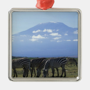 Adorno Metálico África, Kenia, Parque Nacional de Amboseli, Manada