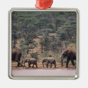 Adorno Metálico África, Kenya, Nanyuki, Mpala. Africano