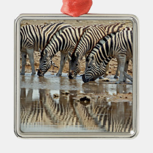 Adorno Metálico África, Namibia, Etosha NP. La cebra de Burchell