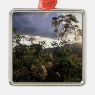 Adorno Metálico África, Tanzania, Área de conservación de Ngorongo