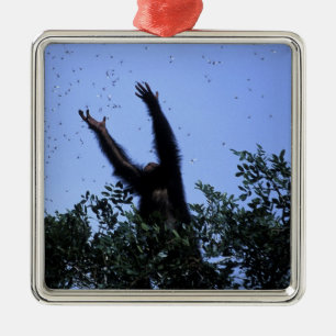 Adorno Metálico África, Tanzania, Purpurina alcanza para volar