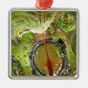 Adorno Metálico Agua en semilla de diente de león, CA