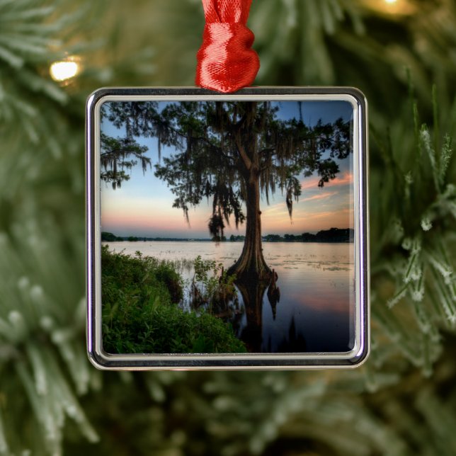 Adorno Metálico Agua | Kraft Azalea Park Maitland Florida (Árbol)