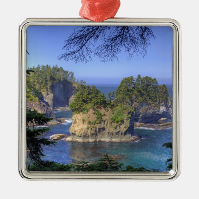 Adorno Metálico Aguas marinas, tierras tribales de la nación Makah (Frente)