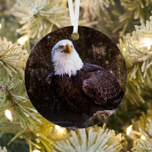 Adorno Metálico Águila calva