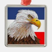 Águila calva americana