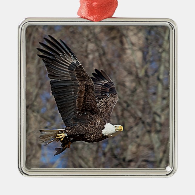 Adorno Metálico Águila calva con bagre (Frente)