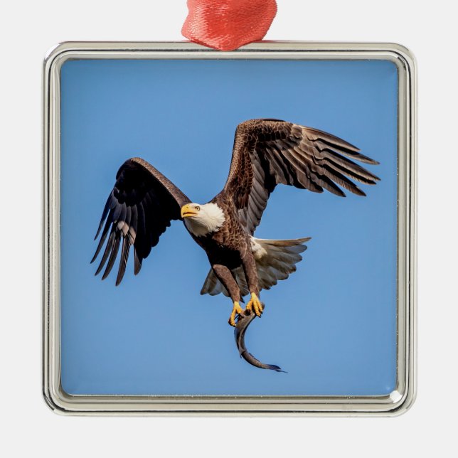 Adorno Metálico Águila calva con pescado (Frente)