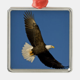 Adorno Metálico Águila calva, Haliaeetus leucocephalus, Homer,
