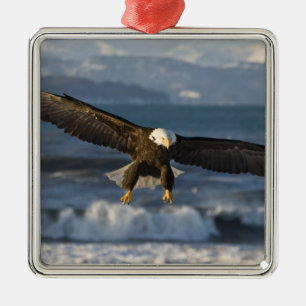 Adorno Metálico Águila calva, Haliaeetus leucocephalus, Homer, 3