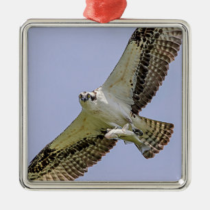 Adorno Metálico Águila pescadora con un pez