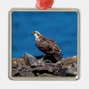 Adorno Metálico Águila pescadora sobre las rocas