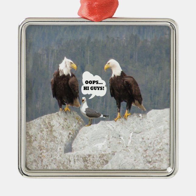 Adorno Metálico Aguilas divertidas y gaviota (Frente)