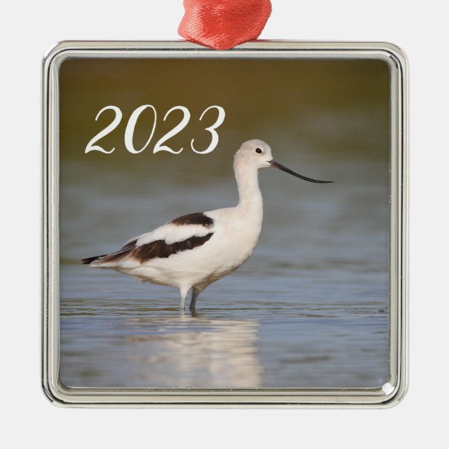 Adorno Metálico Agujero blanco americano (Frente)