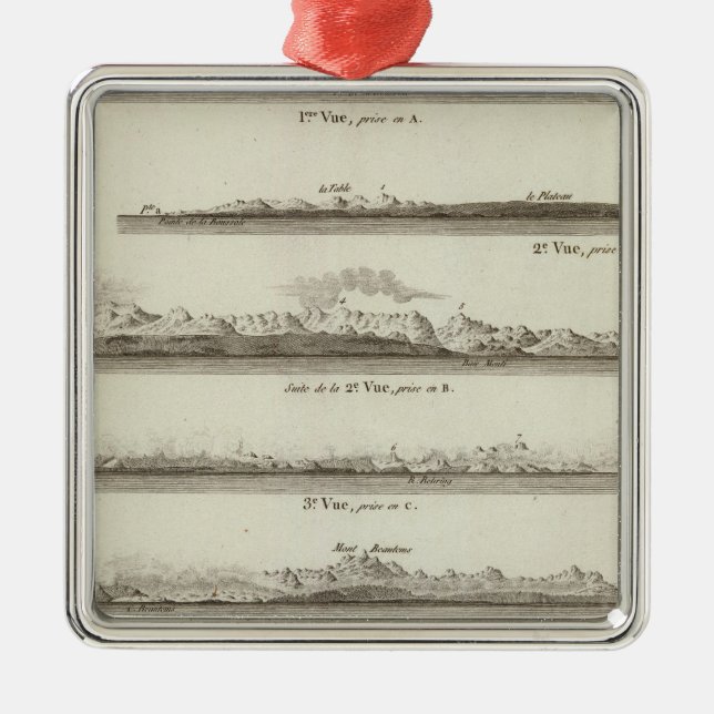 Adorno Metálico Alaska 10 (Frente)