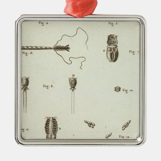 Adorno Metálico Alaska 3 (Frente)