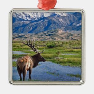 Adorno Metálico Alces de las montañas rocosas de Colorado