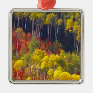 Adorno Metálico Alemanes coloridos en Logan Canyon Utah en el