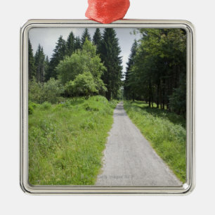 Adorno Metálico Alemania, Thuringia, trayectoria en bosque